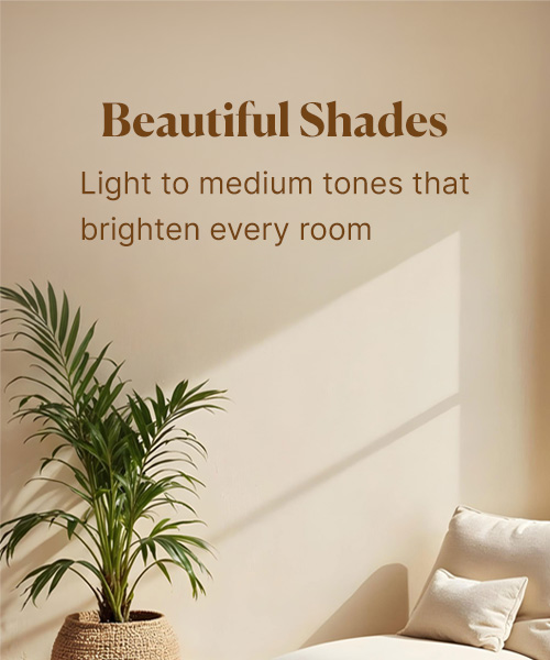 Agaram Paints Pvt Ltd